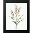 thumbnail image 2 of Swatland, Sally 12x14 Black Modern Framed Museum Art Print Titled - Dainty Botanical I, 2 of 5