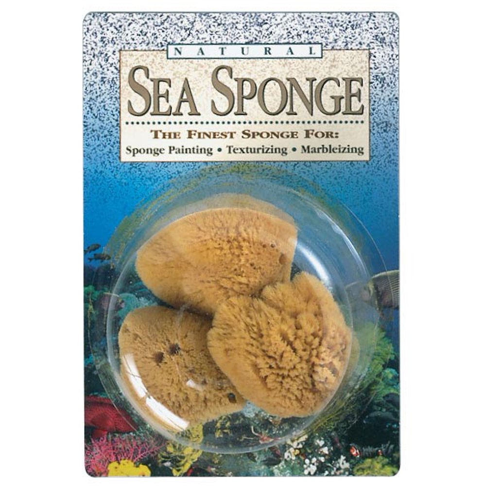 Natural Sea Sponge