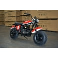 thumbnail image 3 of Trailmaster Mini Bike MB200 Front and Rear Shocks, Torque Converter, Final Chain Drive (Red), 3 of 9