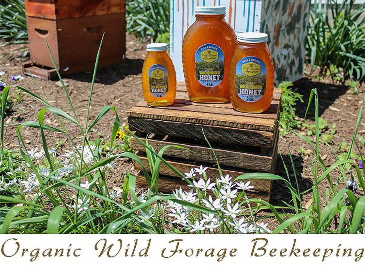Raspberry Blossom Honey by Welsh Mountain Apiaries, Raw and Unfiltered, Wild Foraged Honey, 16 Ounce Jar