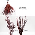 thumbnail image 2 of Paquete De Eucalipto Seco Paquete de eucalipto seco, planta de eucalipto fresca Natural decorativa para aliviar el estrés, 2 of 7