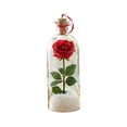 thumbnail image 4 of Clearance Recordable Christmas Tree Message in a Bottle, Voice Recording Holiday Keepsake with Playback,a sentimental Christmas Gift with Snowy Scene and Playback (Rose), 4 of 6