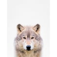 thumbnail image 3 of Tai Prints 12x14 Black Modern Framed Museum Art Print Titled - Wolf, 3 of 5