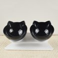 thumbnail image 1 of Bowl Doble Inclinado para Mascotas, Diseño Ergonómico para Cuidar la Columna Vertebral de Gatos y Perros, Hecho de Plástico Transparente de Alta Durabilidad, Incluye Bolsa OPP para Almacenamiento., 1 of 5