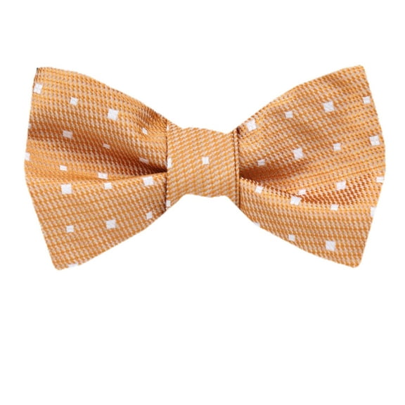 Boys and Youth Pre Tied Bow Tie Many Colors and Pattern Available