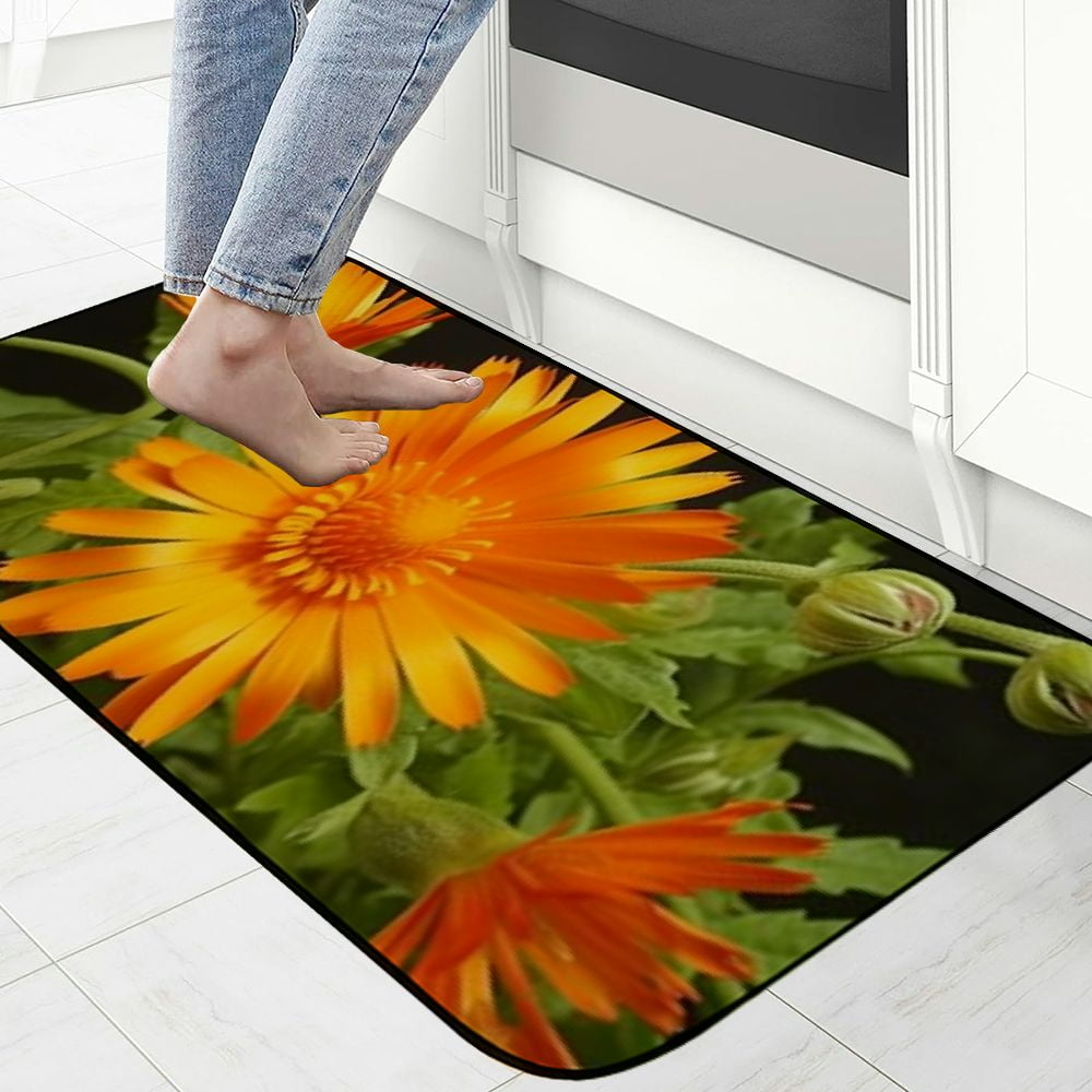 Heduofu Decorative Door Mat, Door Mat with Non-Slip Rubber Backing, Easy Cleaning, Traps Dirt, Rug for Entry, Patio, Garage  - Flower Drops Rain Rain Drops Water Drops of Water 19.68*47.24 in