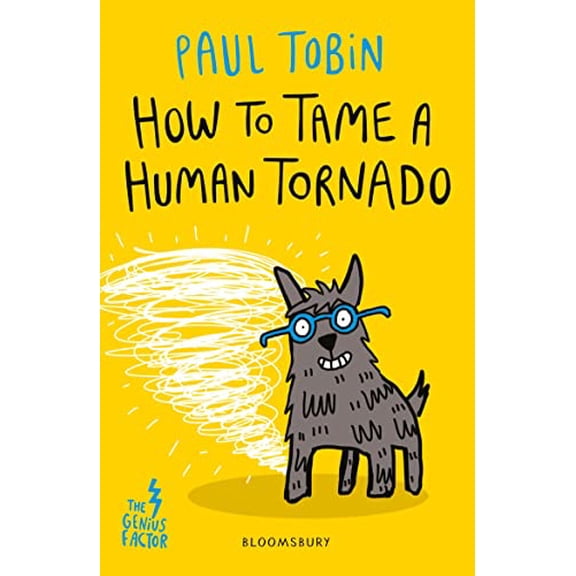 Pre-Owned How to Tame a Human Tornado (Paperback) 1408881810 9781408881811