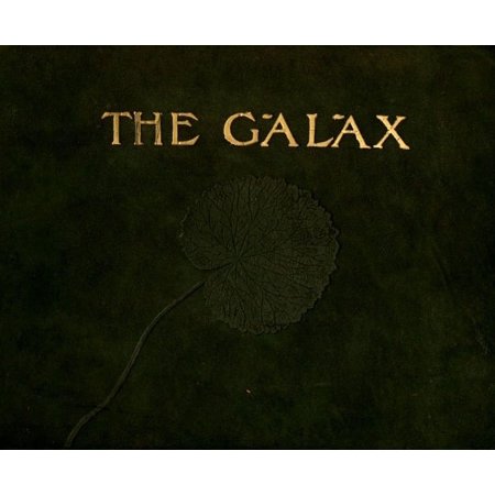 (Custom Reprint) Yearbook: 1906 Davenport College - Galax Yearbook (Lenoir, NC)