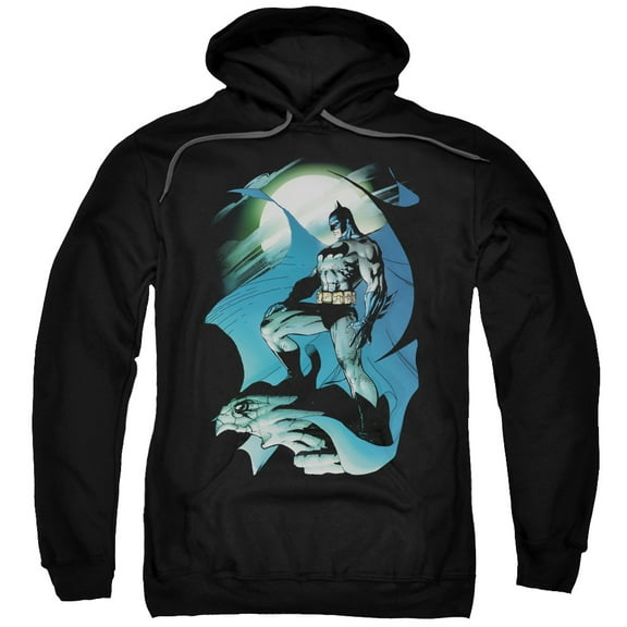 Batman - Glow Of The Moon - Pull-Over Hoodie - Large