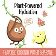 thumbnail image 3 of Creative Roots Watermelon Lemonade Coconut Water Kids Drink, 4 ct Pack, 8.5 fl oz Bottles, 3 of 16
