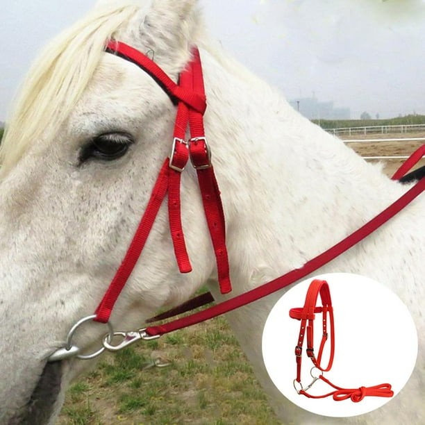 Brida Metalica Ganchos Para Bridas De Caballo Pack De Con