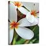 Kathy Yates "White Plumeria" Canvas Art