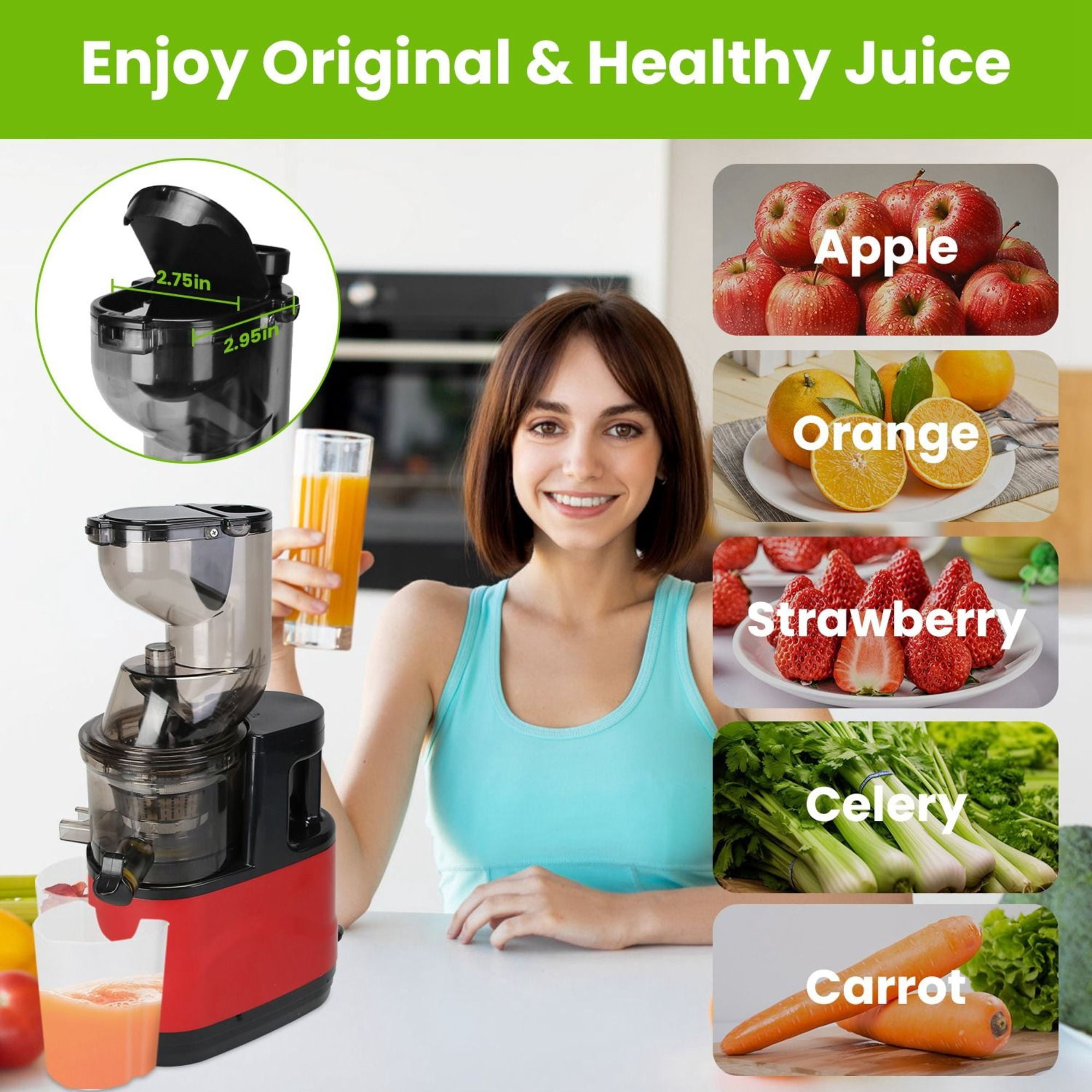 300W Cold Press Juicer Machine - Slow Masticating Juicer for Fruits & Veggies