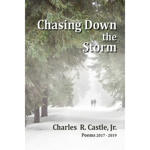 Chasing Down the Storm, (Paperback)