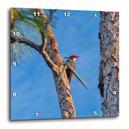 3drose, Pileated Woodpecker, 10x10 Wall Clock