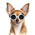 thumbnail image 2 of Gafas para Perros para Perros pequeños, protección contra Rayos UV, Viento y Polvo, Gafas de Sol para Perros de Razas pequeñas con Correa Ajustable, Color Blanco, 2 of 5