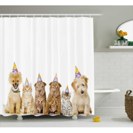 Birthday Decorations For Kids Shower Curtain Shelter Dogs Terrier Birthday Decorations For Kids Shower Curtain Shelter Dogs Terrier Cats With Cone Hats Party Theme