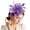 Purple, variant on VJGBEGW Fascinator Hat with Mesh Fascinators Headband for Women Floral Headpiece with Headband for Tea Party, Wedding