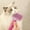 Pin-K, variant on SuoKom Dog Brush, Cats Brush, Dog Brush for Shedding, Self Cleaning Pet Brush for Grooming Long Short Haired Dog Cats, Cats Brushes for Indoor Cats