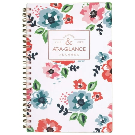 at a glance academic weekly monthly planner july 2018 june 2019