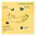 thumbnail image 4 of Penca de plátano macho por kilo, 4 of 4