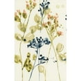 thumbnail image 3 of Goldberger, Jennifer 17x24 Black Modern Framed Museum Art Print Titled - Blush Buds II, 3 of 5