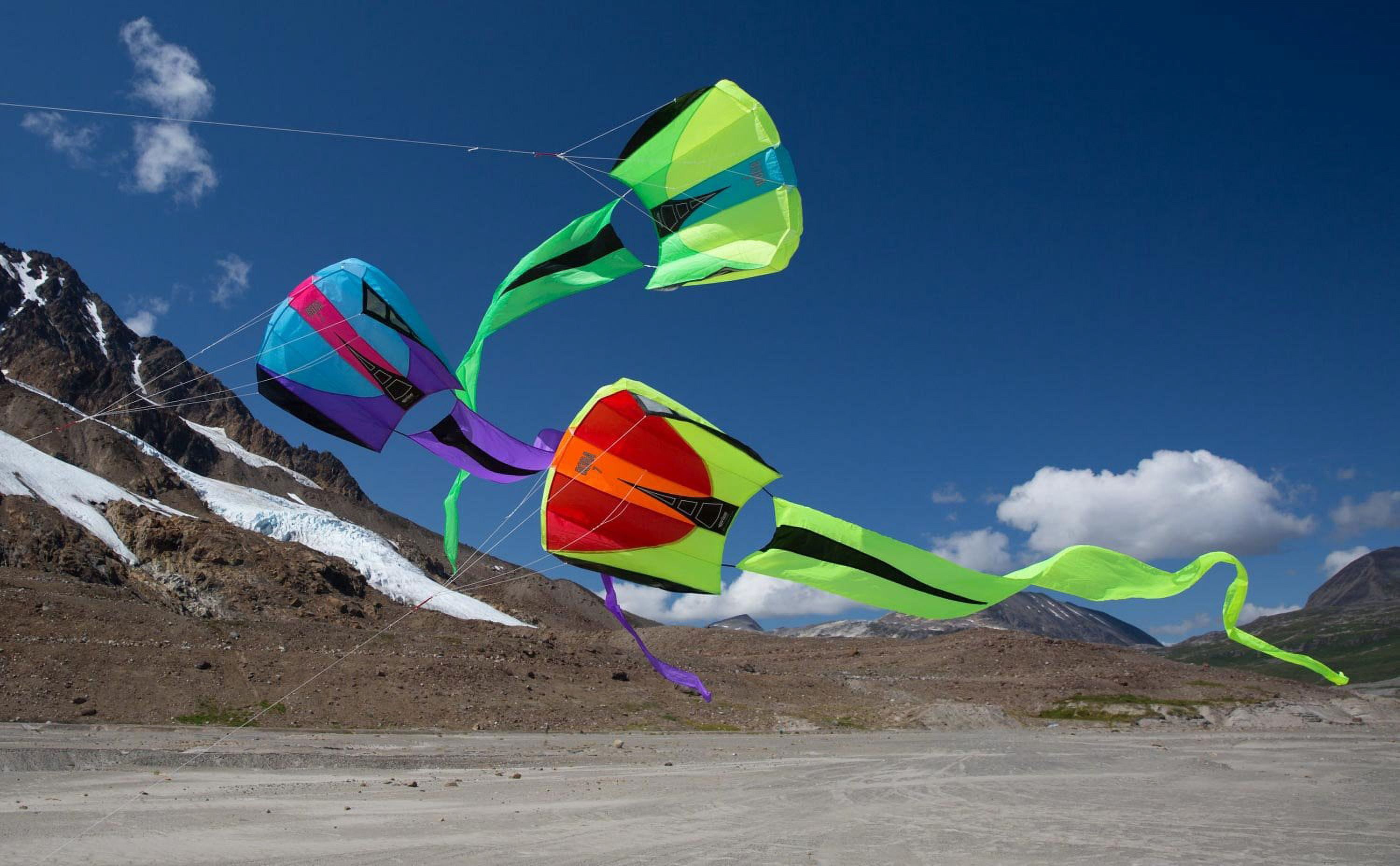 Prism Bora Single-line Parafoil Kite