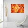 thumbnail image 6 of Epic Art 'Ginkgo Fall' by Philippe Sainte-Laudy, Acrylic Glass Wall Art, 36"x24", 6 of 8