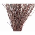 thumbnail image 2 of 100 psc - Decorative Branches for Vases, Centerpieces & DIY Crafts – Sticks for Decorating ( Brown), 2 of 10