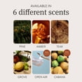 thumbnail image 4 of Stone Car Freshener Starter Kit with Visor Clip, 4 of 5