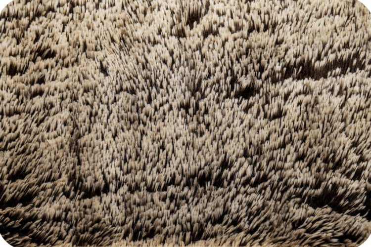 Club Nine Pets Roma Orthopedic Dog Bed, Elevated, Large, Brown.