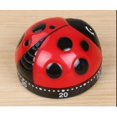 thumbnail image 4 of Temporizador de cocina Beetle Timer Temporizador electrónico Caja de color, 4 of 4