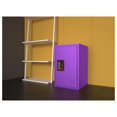 Locker Storage Metal Storage 24" H Organizer