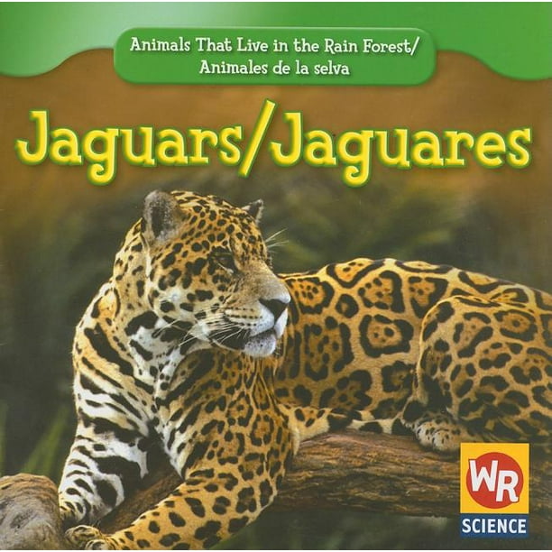 Animals That Live in the Rain Forest / Animales de la Selva: Jaguars /  Jaguares (Paperback) 