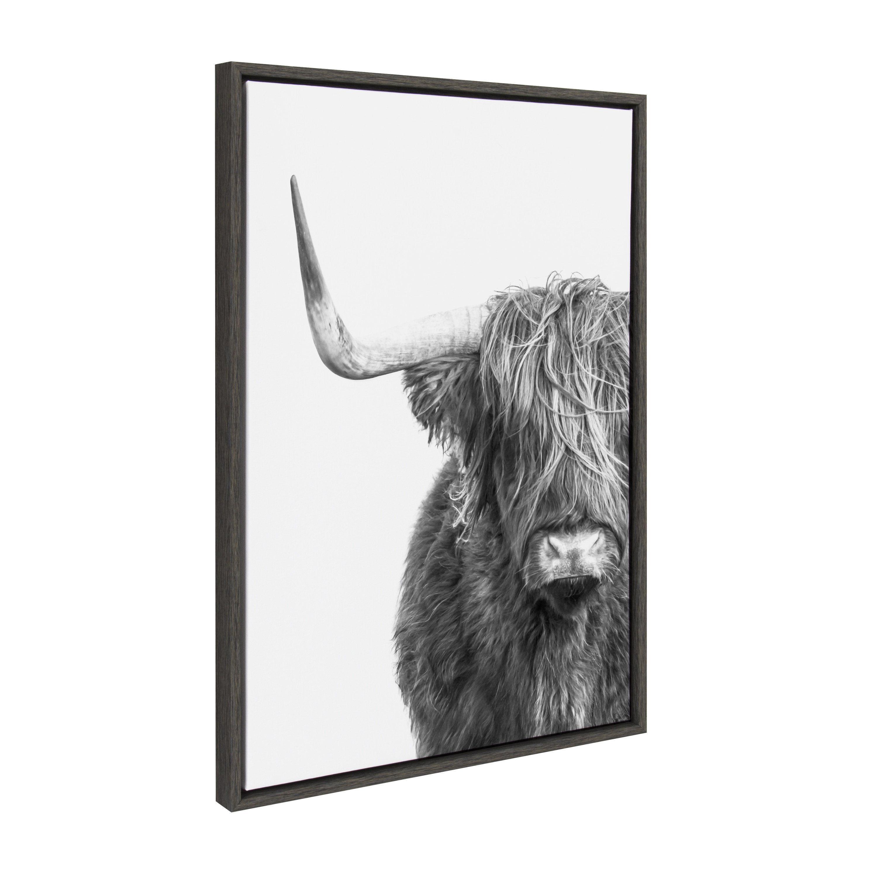 Kate and Laurel Sylvie BW highland Cow No. 1 Framed Canvas Wall Art by Amy Peterson Art Studio, 23x33 Gray, Rustic Animal Wall Decor for Wall