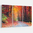 thumbnail image 2 of Route dans Belle Forêt d'Automne, 2 of 3