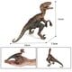 thumbnail image 5 of Modelo de dinosaurio Velociraptor, sólido, pintado a mano, regalo para niño, 5 of 5