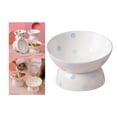 thumbnail image 4 of Cuenco de comida para gatos inclinado de cerámica de 200ml accesorio de plato de inclinada para gatos Zulema  Comedero para gatos, 4 of 8