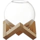 thumbnail image 1 of Cocktail Glass 1Set Multi Color Wine Cup with Stable Wooden Frame and Materials for Home Use, 1 of 4