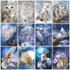 thumbnail image 2 of EverShine Diamond Painting Full Square Owl Cross Stitch Diamond Mosaic Animal Bead Embroidery Picture Rhinestone Wall DecorationRound Drill 60x45cm Gao Jinjia LED, 2 of 2
