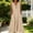 Khaki, variant on Afuyipoi Womens Sleeveless V-Neck Solid Color Maxi Dress With Pockets, Soft Breathable Loose Flowy Casual Long Dress, Lightweight Summer Beach Vacation Dress For Women Pink Size 2XL