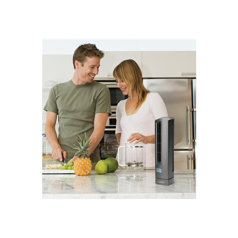 Lasko Air Stik 14 Oscillating