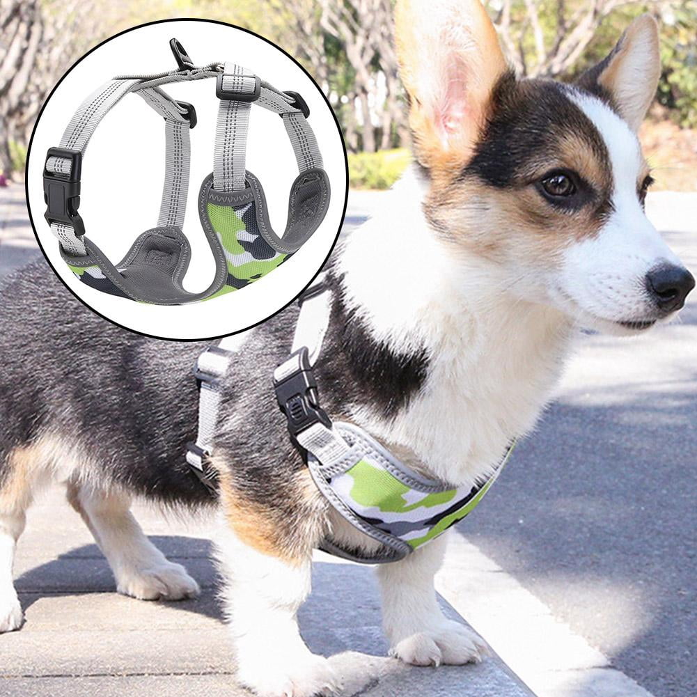 puppy chest harness