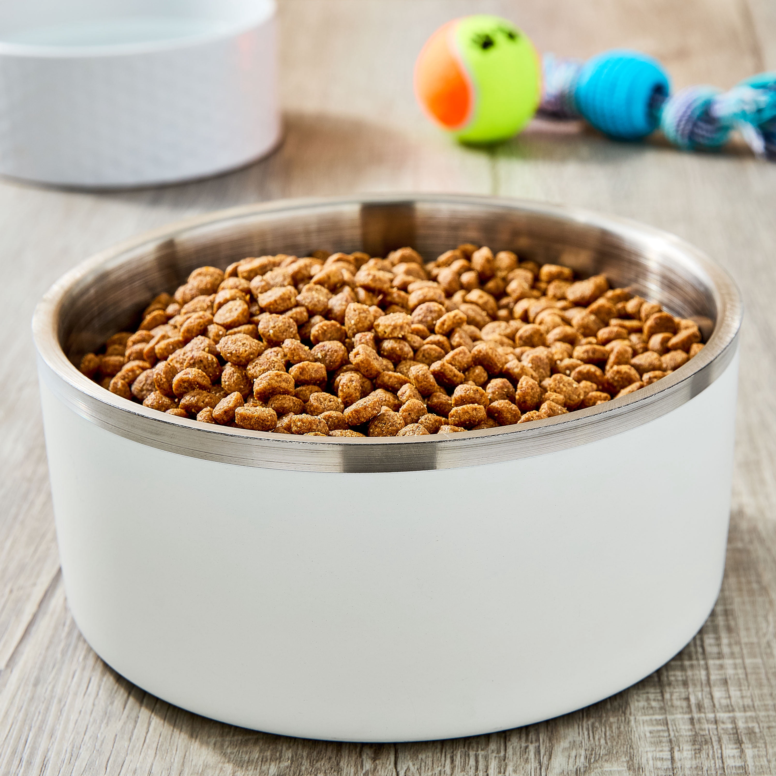 Vibrant Life Large Stainless Steel Double Wall Dog Bowl, White