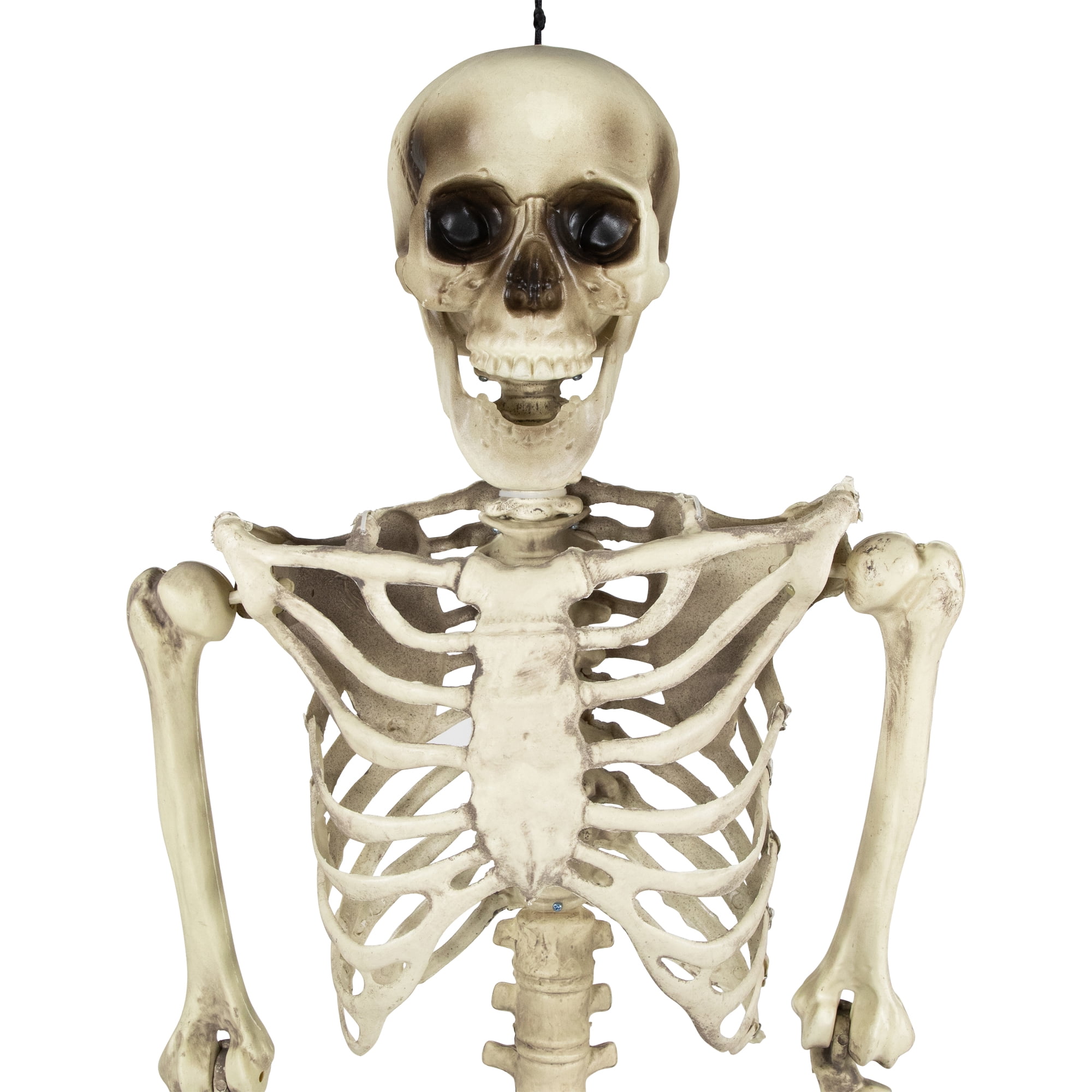 5' Spooky Life Size Skeleton Indoor/Outdoor Halloween Decoration