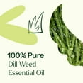 thumbnail image 5 of Plant Therapy Dill Weed  Essential Oil 10 mL (1/3 oz) 100% Pure, Undiluted, Natural Aromatherapy, 5 of 8