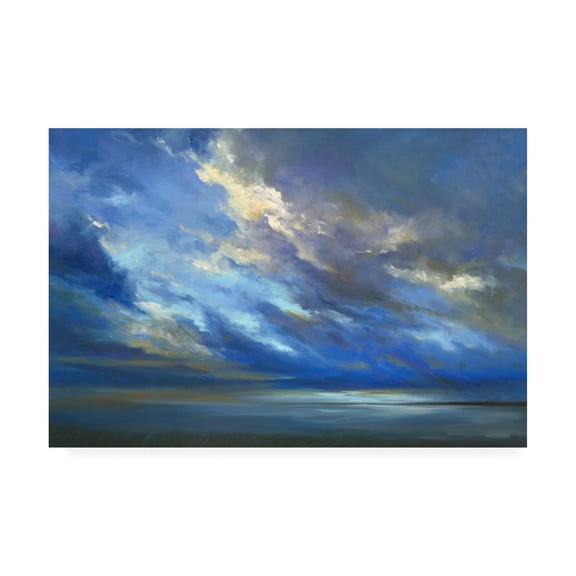 Trademark Fine Art 'Coastal Sky 2' Canvas Art by Sheila Finch