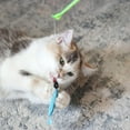 thumbnail image 2 of Pet Zone Reel Fun Canne à Pêche Jouet pour Chat, 2 of 8