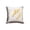 Y6, variant on Gold Throw Pillow Covers,Gold Stamping Leaves Cushion Cover,Luxury Bedroom Decor,for Couches,Reading Chairs,Home Accent,17.72x17.72 Inch