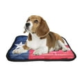 thumbnail image 2 of PKQWTM The Flag Of The State Weathered Pet Dog Cat Bed Pee Pads Mat Cushion Potty Dogs Blankets Crate Bed Kennel 20x24 inch, 2 of 3